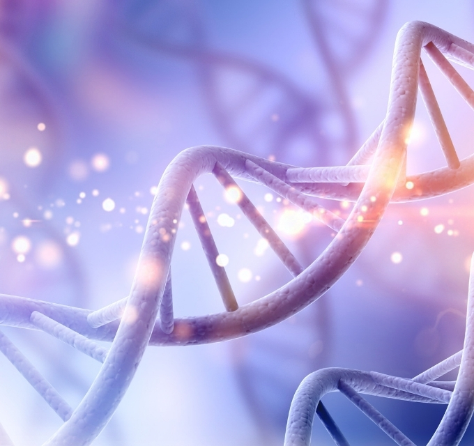 Artoz İlaç Referansları